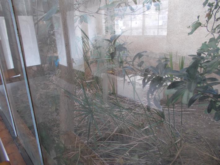 Flat | Apartment1 - Ref. MUNTANYA19